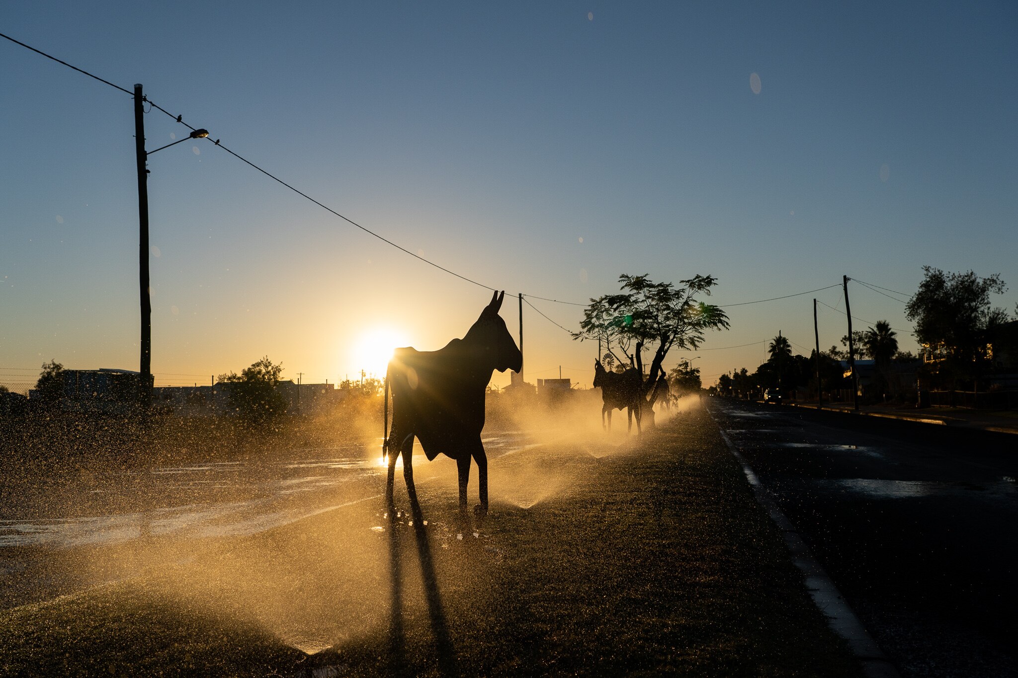 Quilpie's 'free land' home builder grant attracts hundreds of enquiries