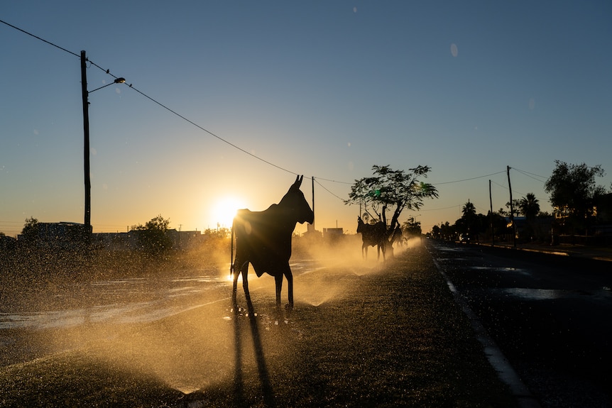 Dawn breaks over a misty main street in an outback town, with sprinkler mist behind a metal horse structure.