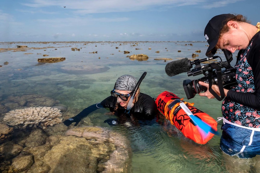 A woman in a snorkel shows a camera operator coral bleaching.
