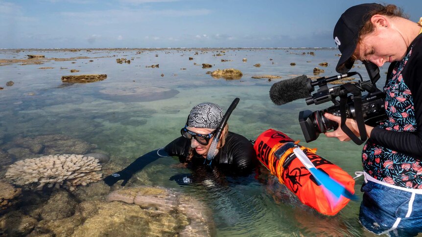 A woman in a snorkel shows a camera operator coral bleaching.