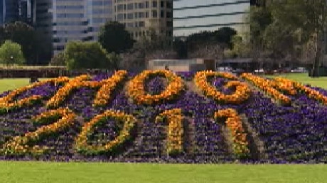 CHOGM 2011 flower display