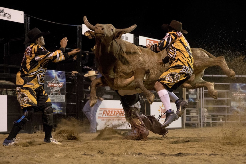 A bucking bull at the Julia Creek PBR event