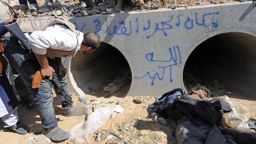 An NTC fighter looks through a large concrete pipe where Moamar Gaddafi was allegedly captured on October 20, 2011.