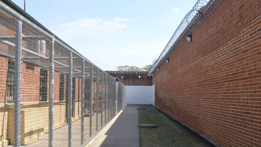 A brick wall and a barbed wire fence enclosing a yard of concrete and grass, with blue sky above