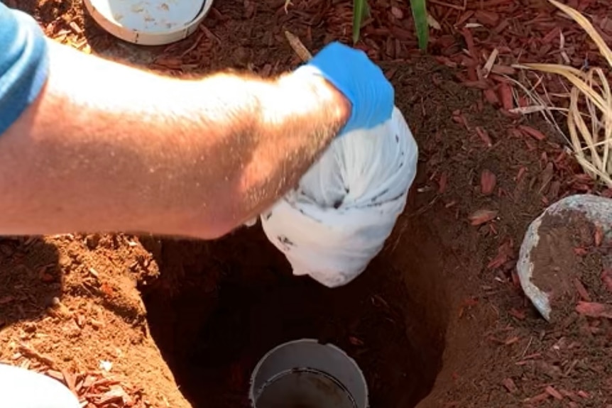 A gloved hand takes a bundle out of a hole