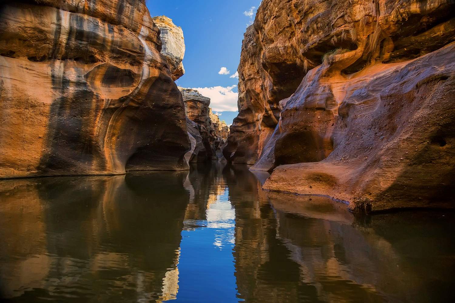 A view of Cobbold Gorge looking up at steep sandstone escarpments from the waterline
