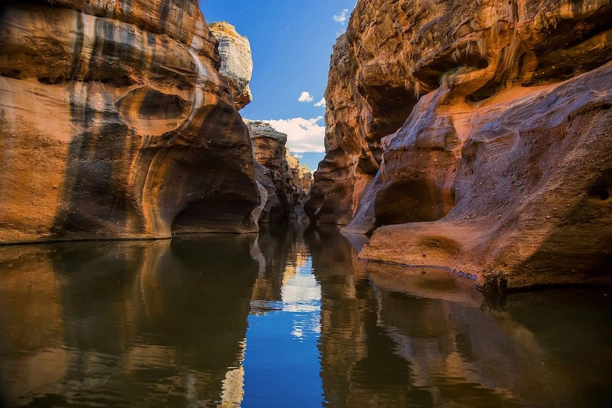 A view of Cobbold Gorge looking up at steep sandstone escarpments from the waterline.