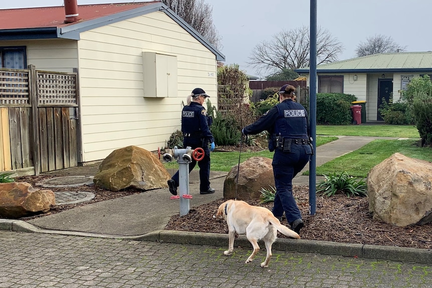 Tasmania Police officers with police dog at the scene of a firearm discharge.