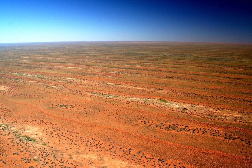 The north Simpson Desert stretches to the horizon