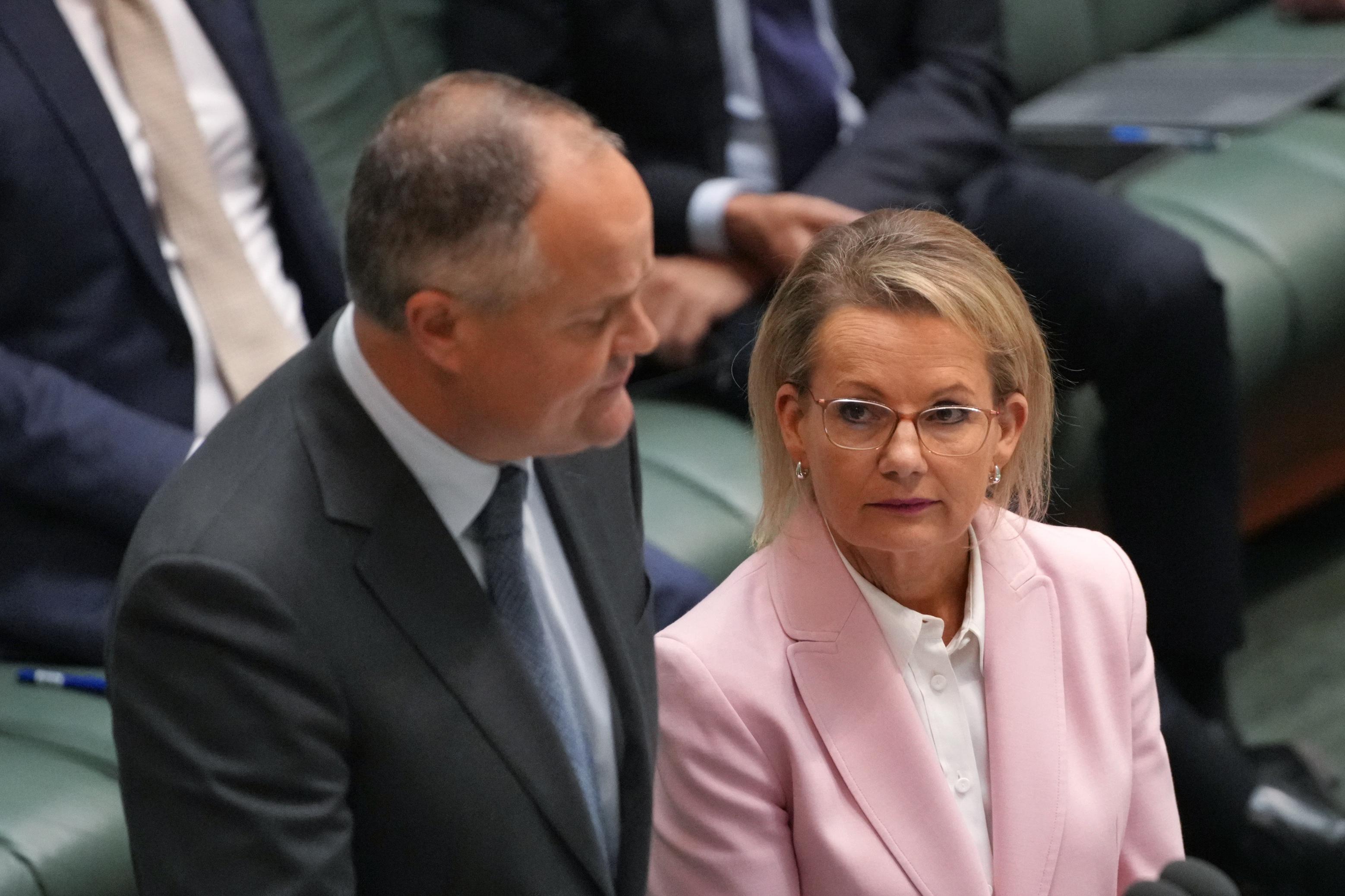 Sussan Ley in question time.