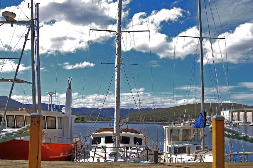 A picture of three yachts moored at a small timber marina. Blue skies are overhead and bushland is in the background.