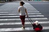 A woman walks her pet dog on a Chinese street using a luggage case.