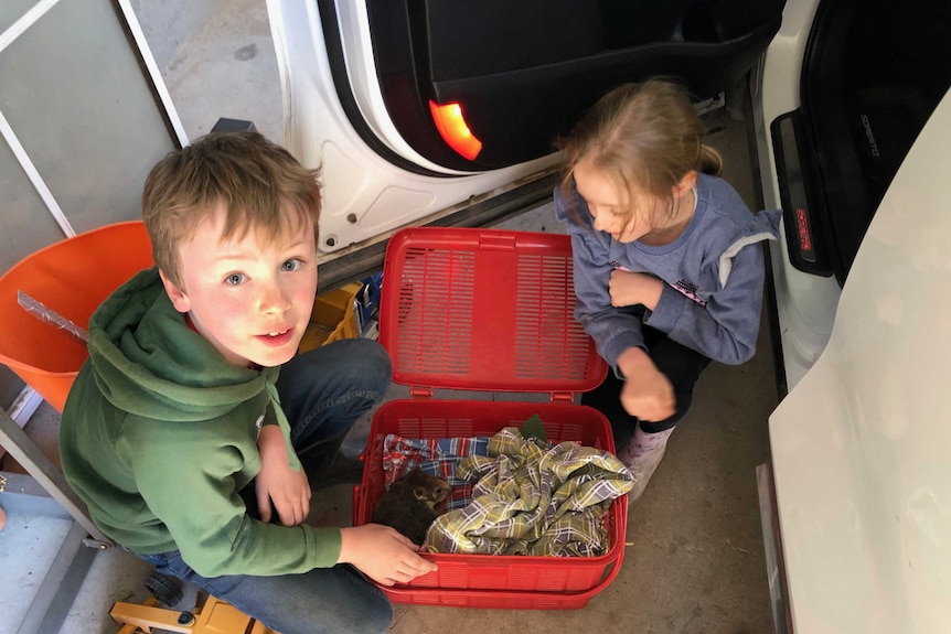 Toby and Riley with "Bella" the possum they rescued from the fire.