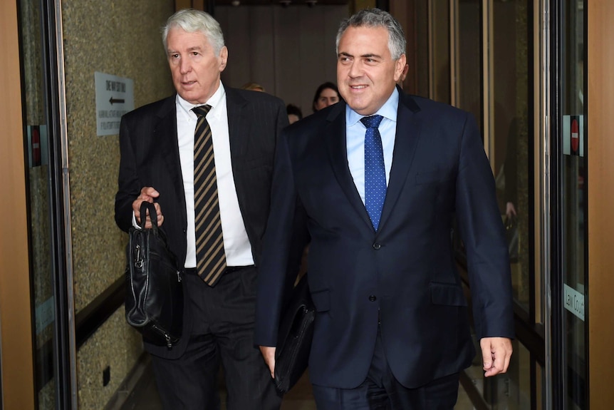 Joe Hockey outside court in Sydney