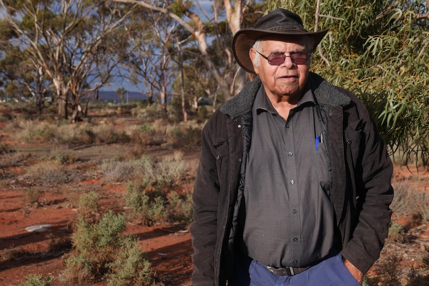 An Aboriginal elder stands beside a leafy green tree.