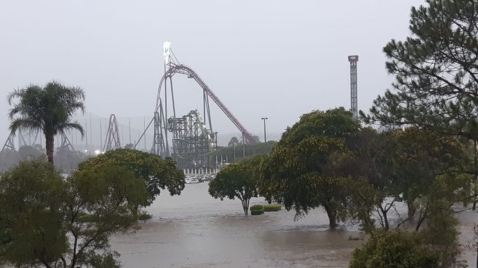 Movie World Carpark flooded, with cars submerged up to the roof
