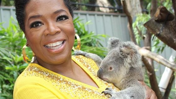 Oprah Winfrey cuddles a koala (AAP: George Burns/Harpo)
