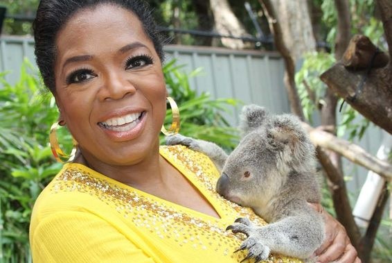 Oprah Winfrey cuddles a koala (AAP: George Burns/Harpo)