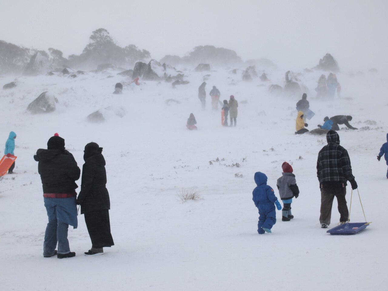 Perisher tobogganers confused as lack of snow closes play area amid
