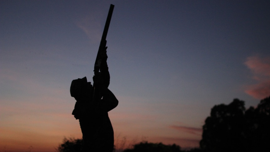a silhouette of a man aiming a gun in the air.