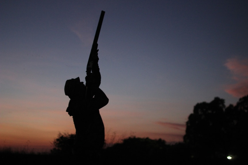 a silhouette of a man aiming a gun in the air.