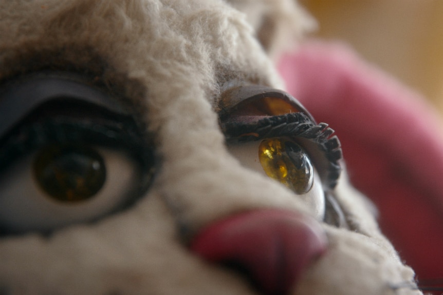 Close-up shot of one of The Ferals' eyes.
