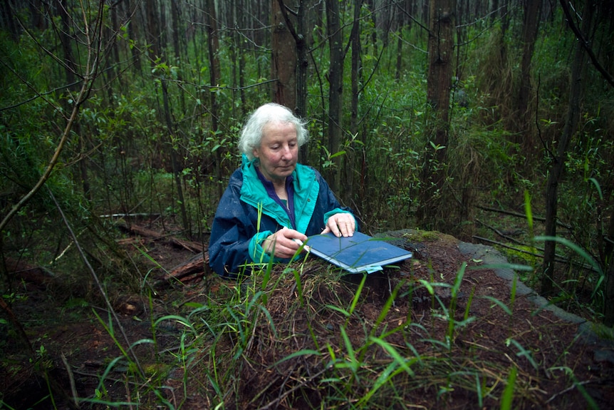 Forest activist Margaret Blackers reads through her notebook in the forest