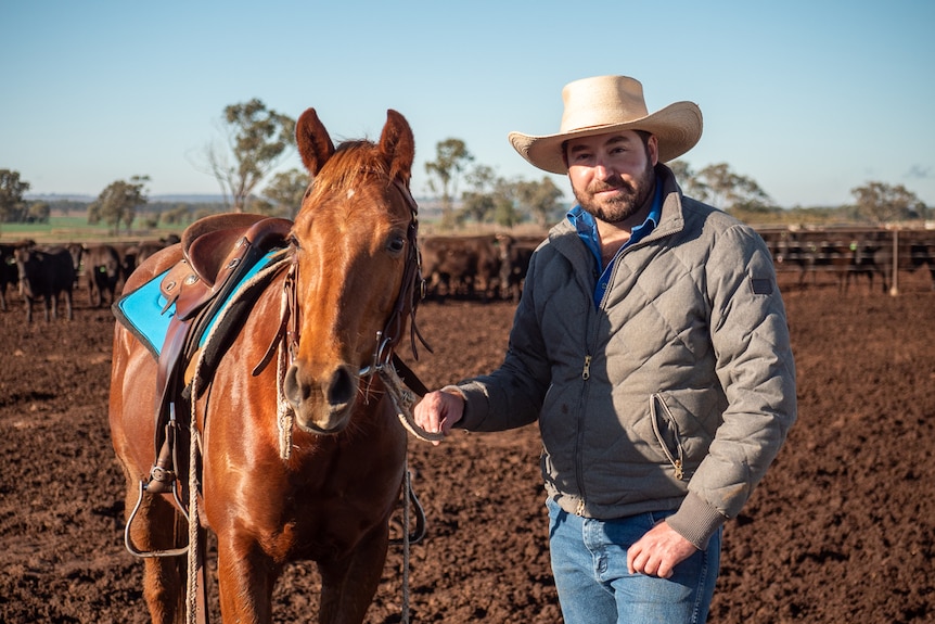 Bryce Camm stands in a feedlot pen holding the reins of his horse with cattle in the background, near Dalby in July 2020.