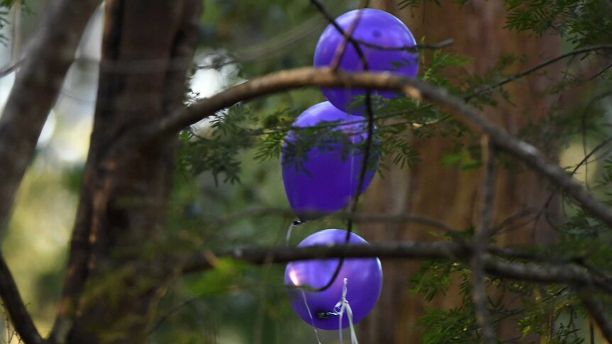 Balloons released in bushland where remains found