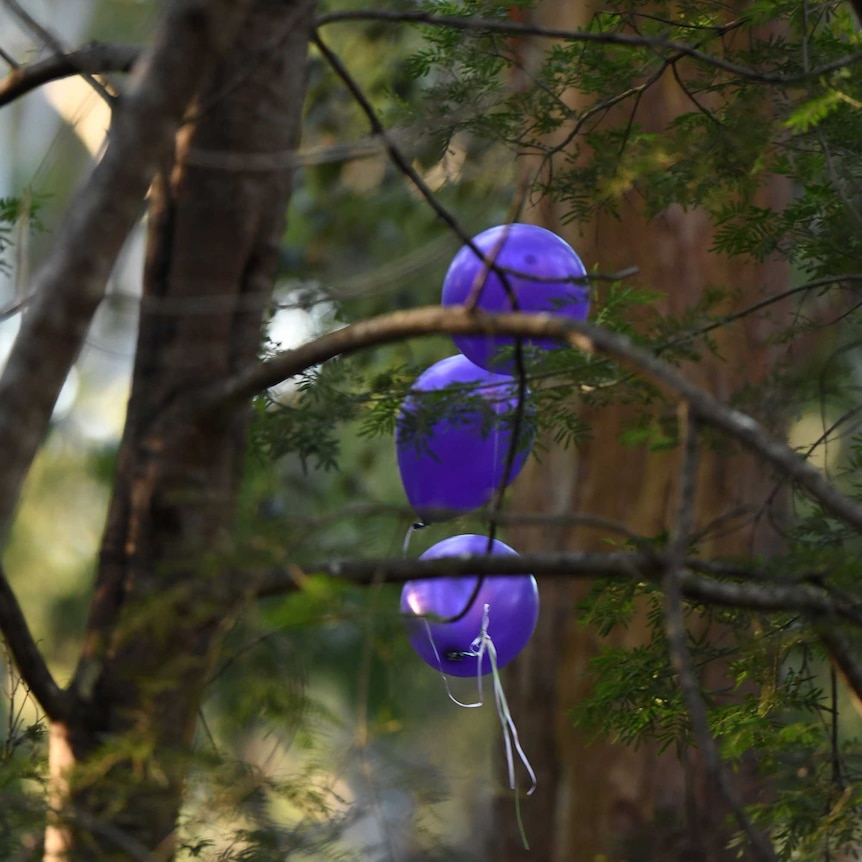 Balloons released in bushland where remains found