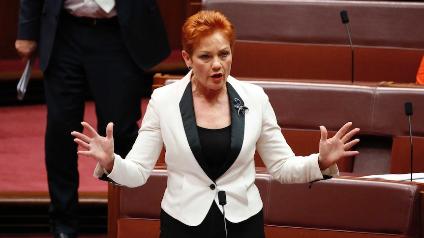 Pauline Hanson on her feet in the Senate