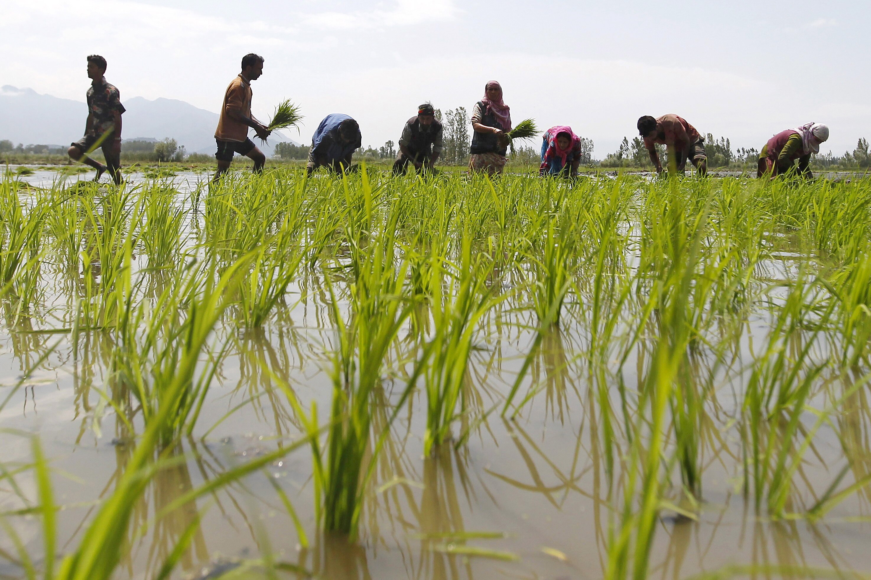 500mm of rain drenches Mumbai: What's making India's monsoon worse year ...