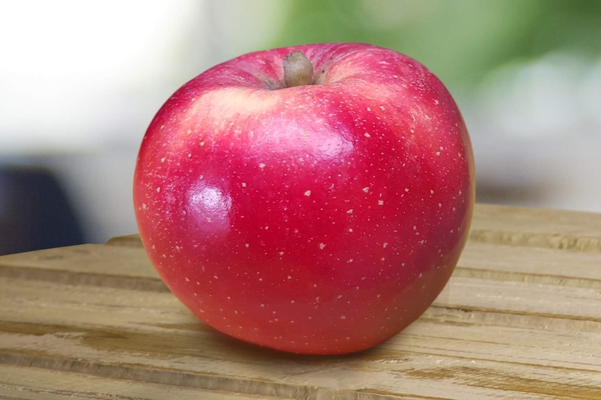 Climate change-resistant' apple that can keep its colour and crunch could  be grown in Australia - ABC News