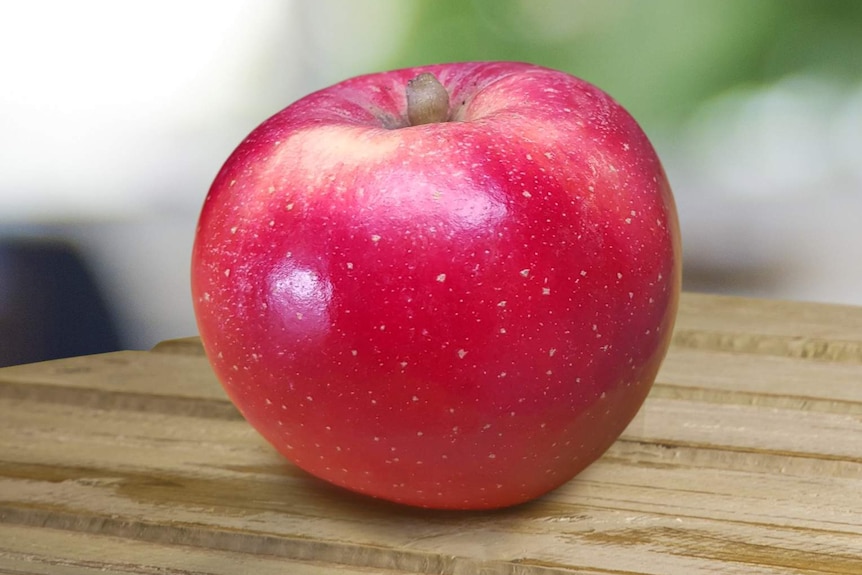 A bright red apple