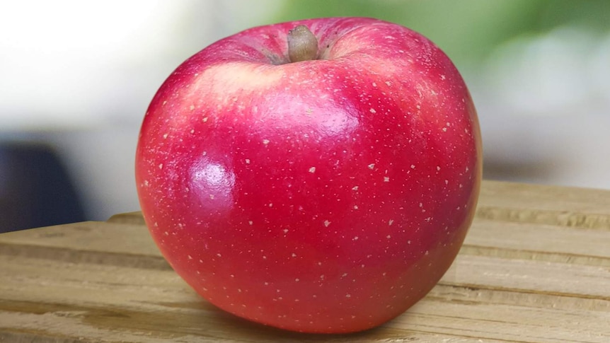 A bright red apple
