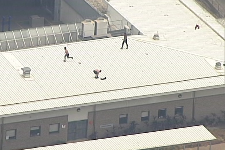 three people atop a building roof, two of them shirtless