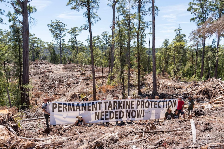 Anti-logging protesters at a Sustainable Timber Tasmania coupe, 2018.