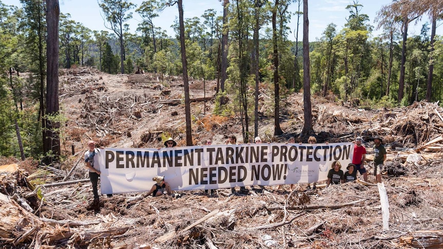 Anti-logging protesters at a Sustainable Timber Tasmania coupe, 2018.