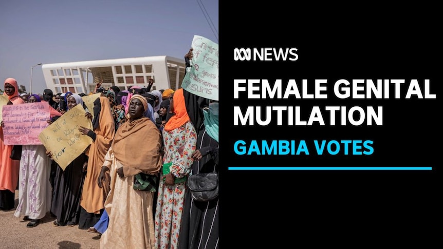 Female Genital Mutilation, Gambia Votes: A group of women hold protest signs.