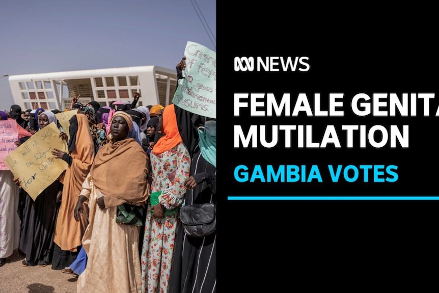 Female Genital Mutilation, Gambia Votes: A group of women hold protest signs.