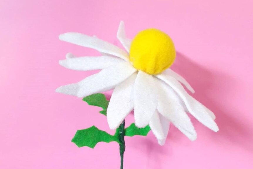 A flower with white petals and a yellow centre, made from felt, is held up against a pink background.