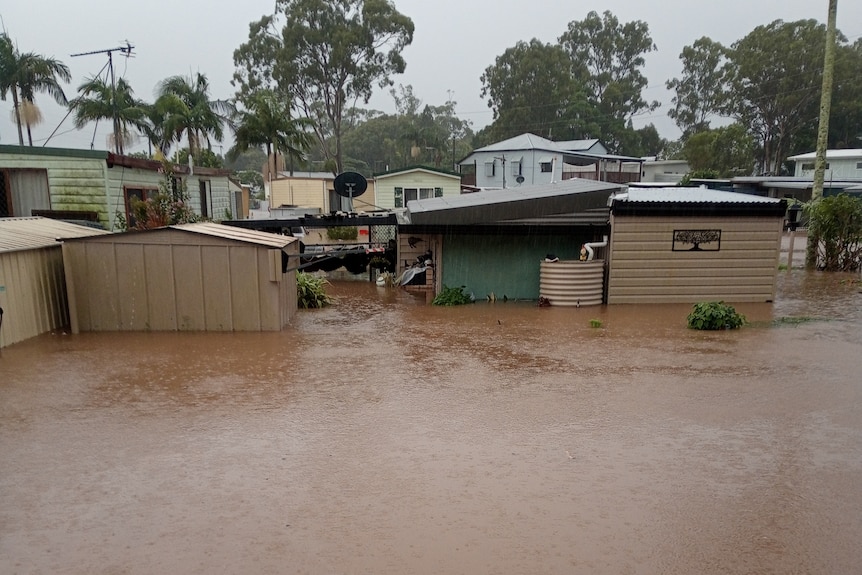 Cabins in a caravan park with brown floodwater