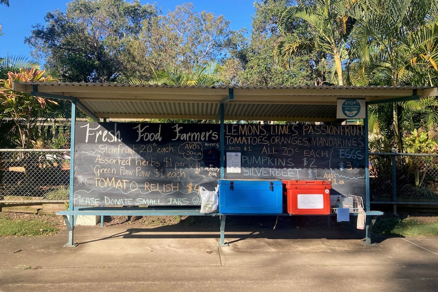 A basic bus shelter with fruit and vege names written in chalk on its back wall