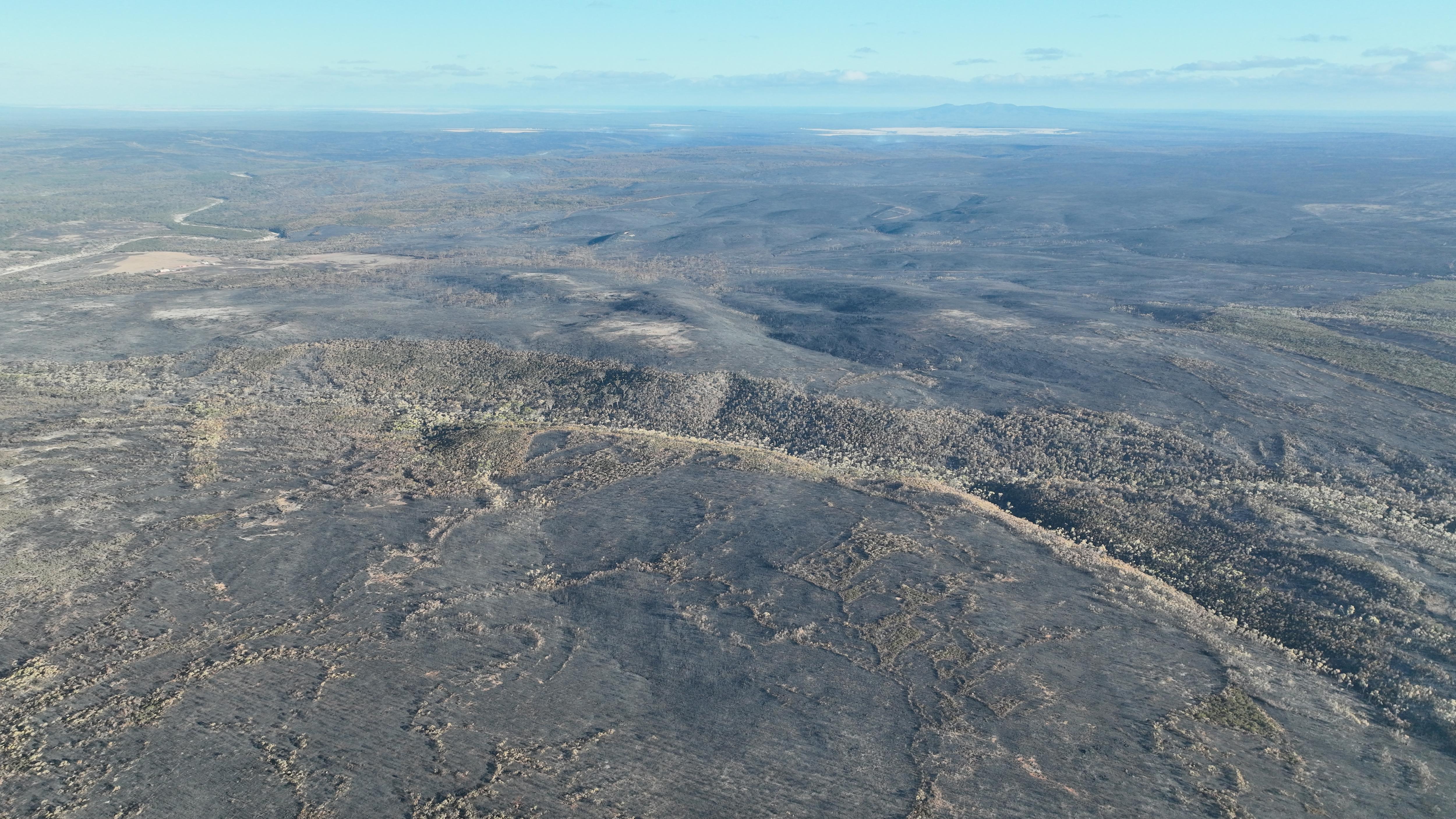 Página de Fitz Fire Ravensthorpe