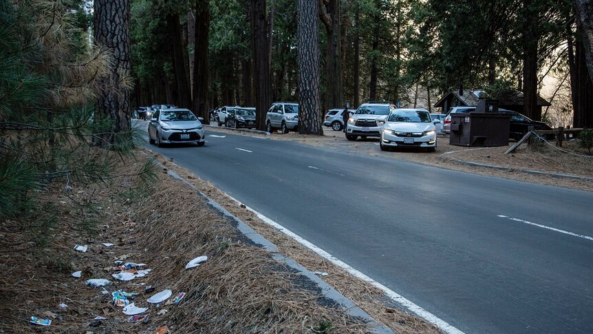 A small car drives along a road that runs between tall trees and has rubbish collecting in a ditch to its side.