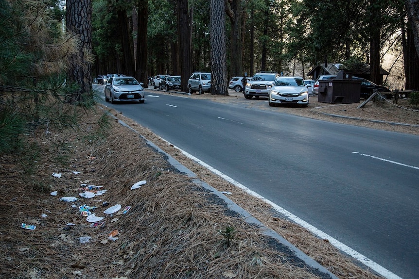 A small car drives along a road that runs between tall trees and has rubbish collecting in a ditch to its side.