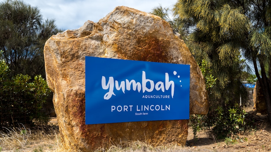 A large rock has a sign attached to it that says Yumbah Aquaculture