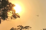 A firefighting helicopter hovers over the Kings Park bushfire in front of the rising sun.