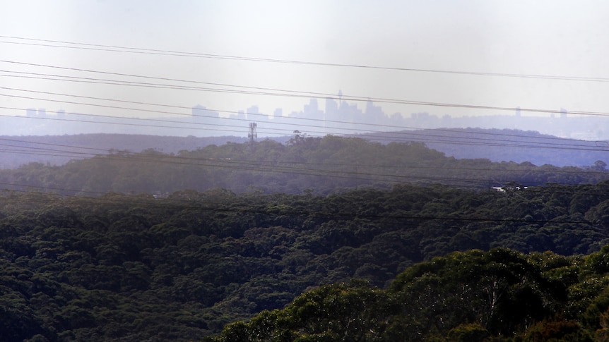 A city skyline.