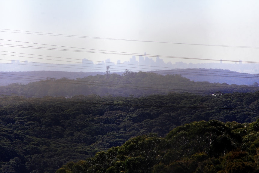 A city skyline.